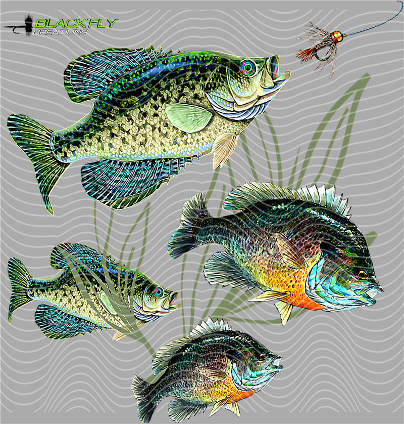 Fishing Series-DY 153